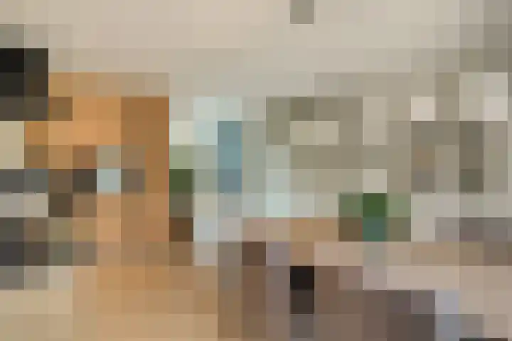 Pieter Bossenstraat 27 Hoogwoud thumbnail 17