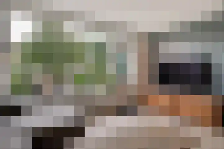 Pieter Bossenstraat 27 Hoogwoud thumbnail 27