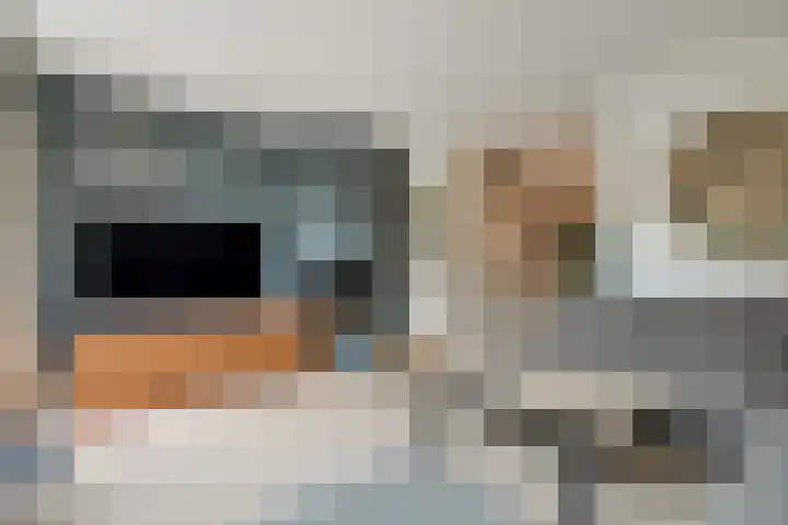 Pieter Bossenstraat 27 Hoogwoud thumbnail 29