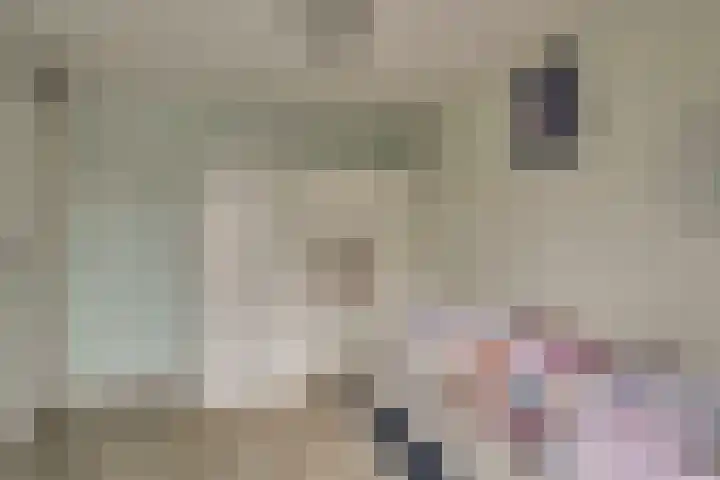 Pieter Bossenstraat 27 Hoogwoud thumbnail 47