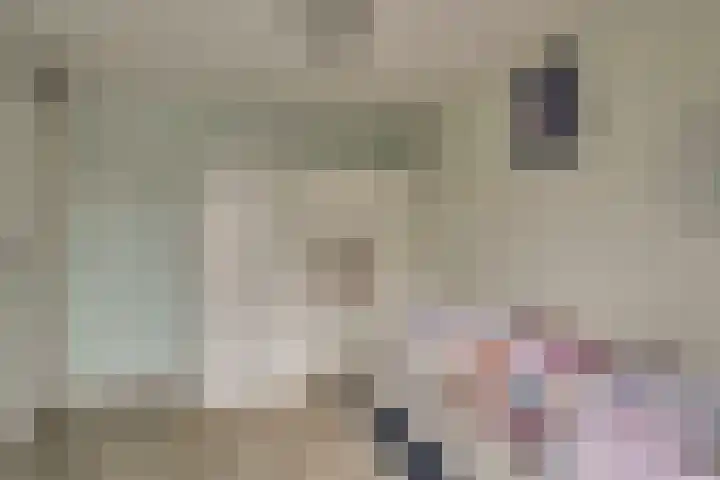 Pieter Bossenstraat 27 Hoogwoud thumbnail 48