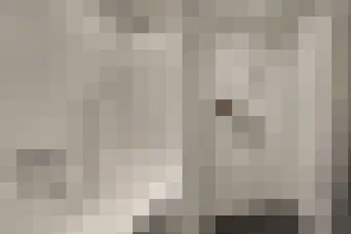 Pieter Bossenstraat 27 Hoogwoud thumbnail 7