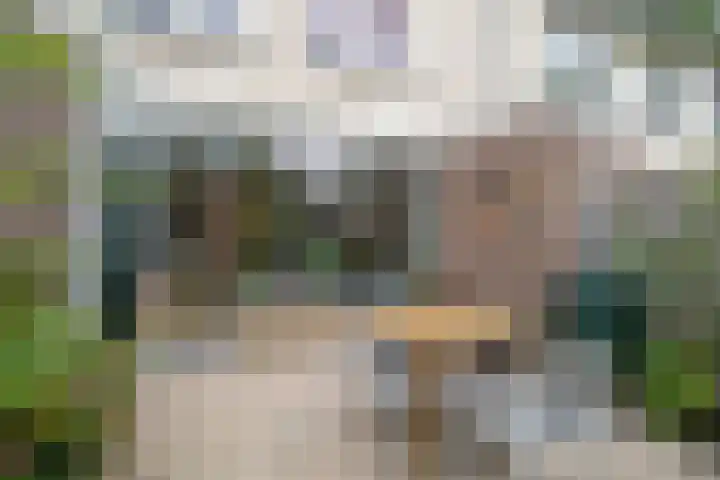 Pieter Bossenstraat 27 Hoogwoud thumbnail 77