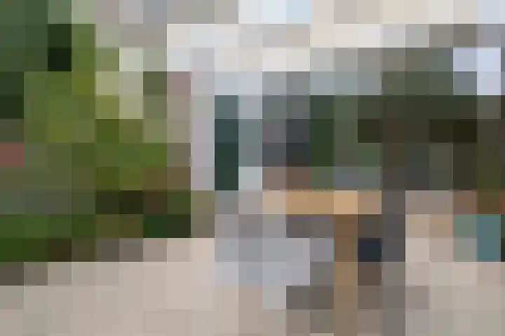 Pieter Bossenstraat 27 Hoogwoud thumbnail 79