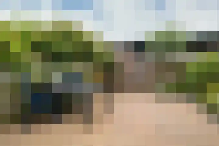 Pieter Bossenstraat 27 Hoogwoud thumbnail 92