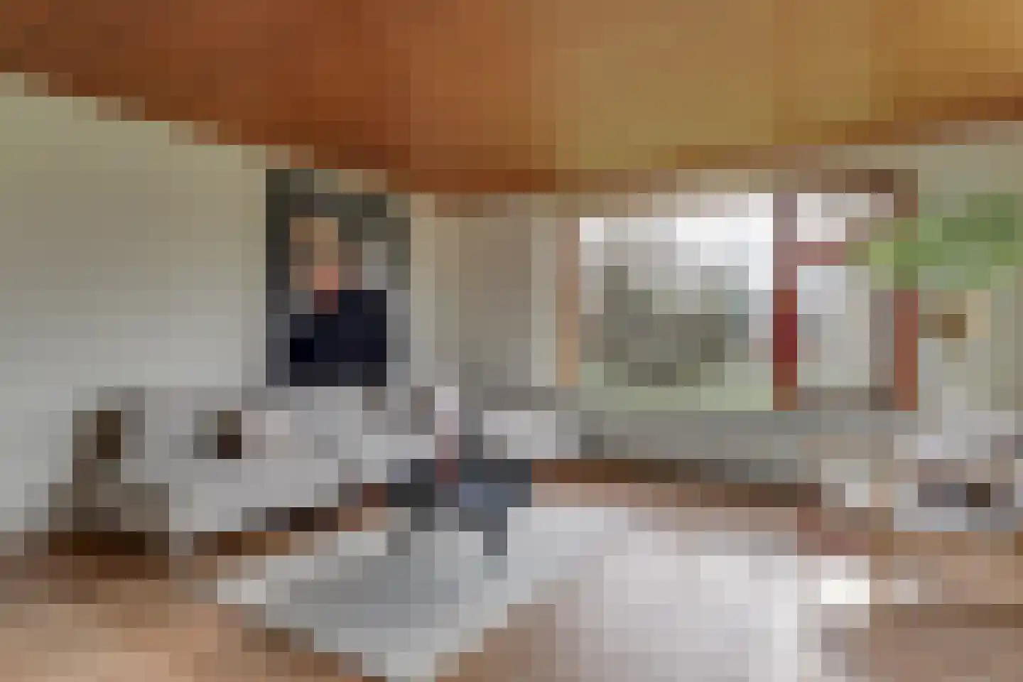 Pieter Bossenstraat 34 Hoogwoud thumbnail 11
