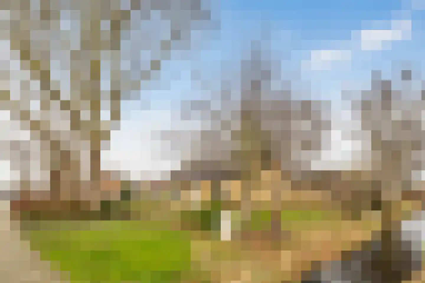 Pieter Bossenstraat 34 Hoogwoud thumbnail 63
