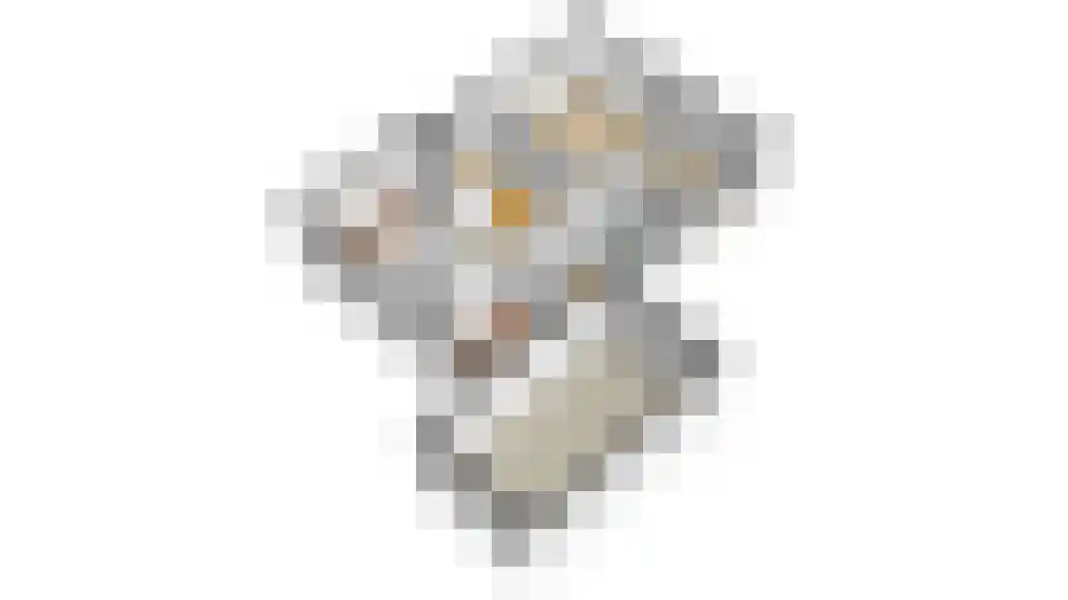 Pieter Bossenstraat 34 Hoogwoud thumbnail 65