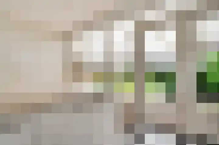 Pieter Bothstraat 20 Roermond thumbnail 13