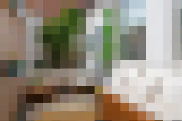Pieter Bothstraat 22 Utrecht thumbnail 18