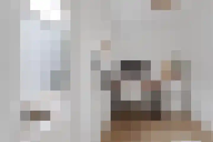 Pieter Bothstraat 22 Utrecht thumbnail 22