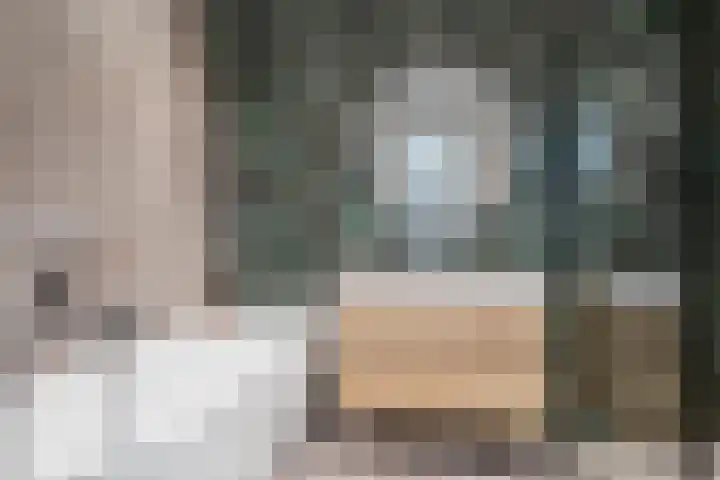 Pieter Bothstraat 22 Utrecht thumbnail 28