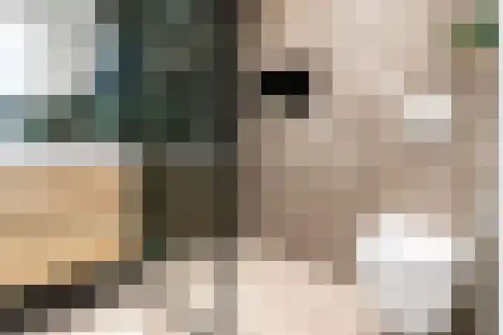 Pieter Bothstraat 22 Utrecht thumbnail 29