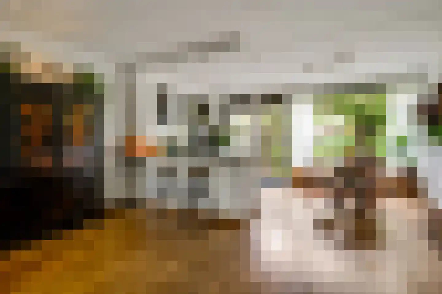 Pieter Bothstraat 35 Roermond thumbnail 11
