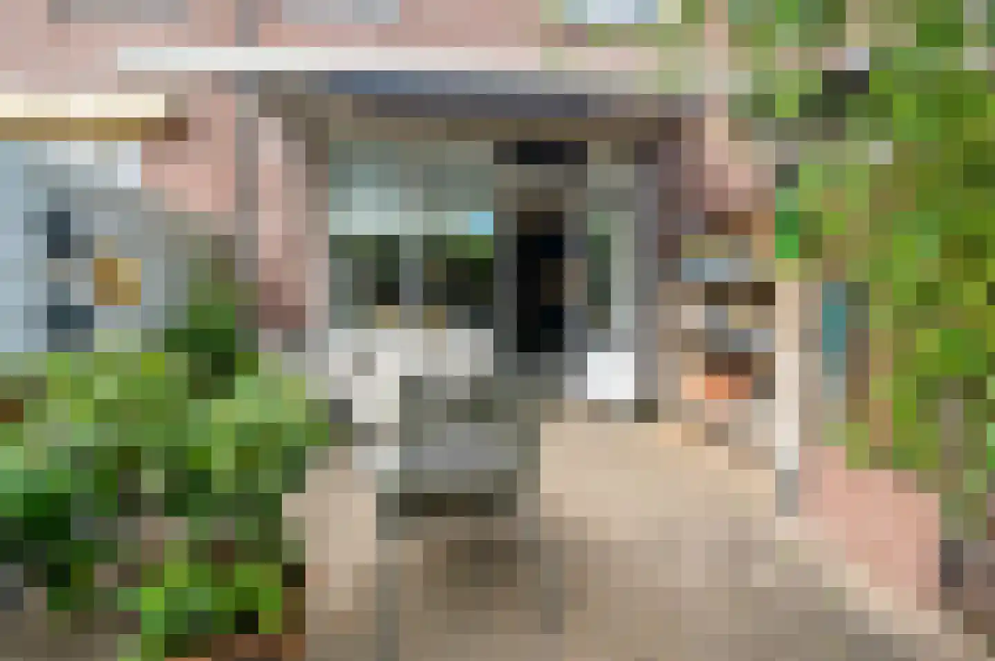 Pieter Bothstraat 68 Den Haag thumbnail 14