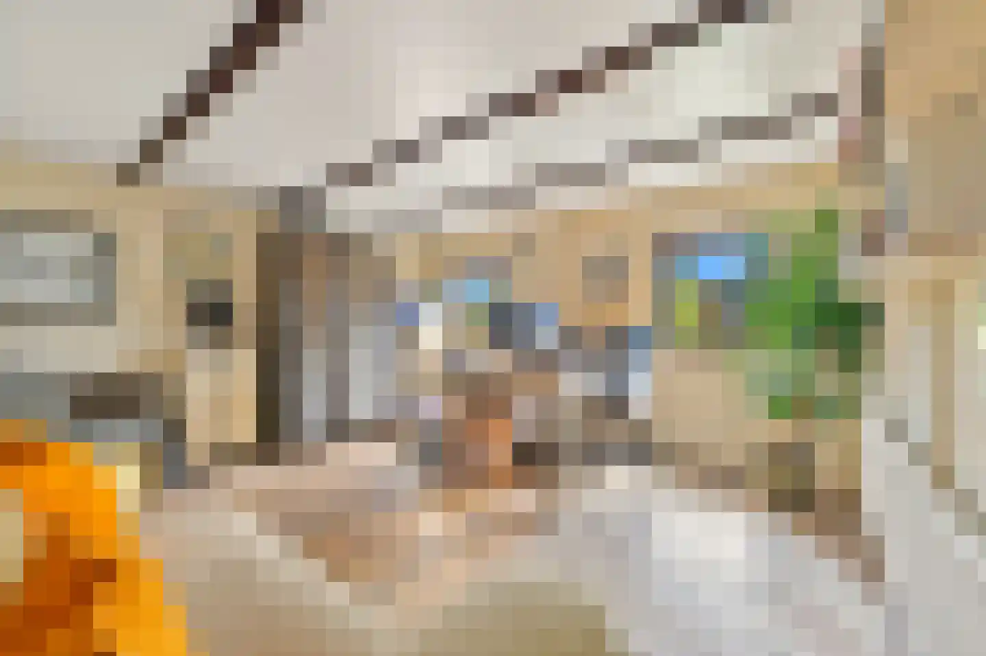 Pieter Bothstraat 68 Den Haag thumbnail 39