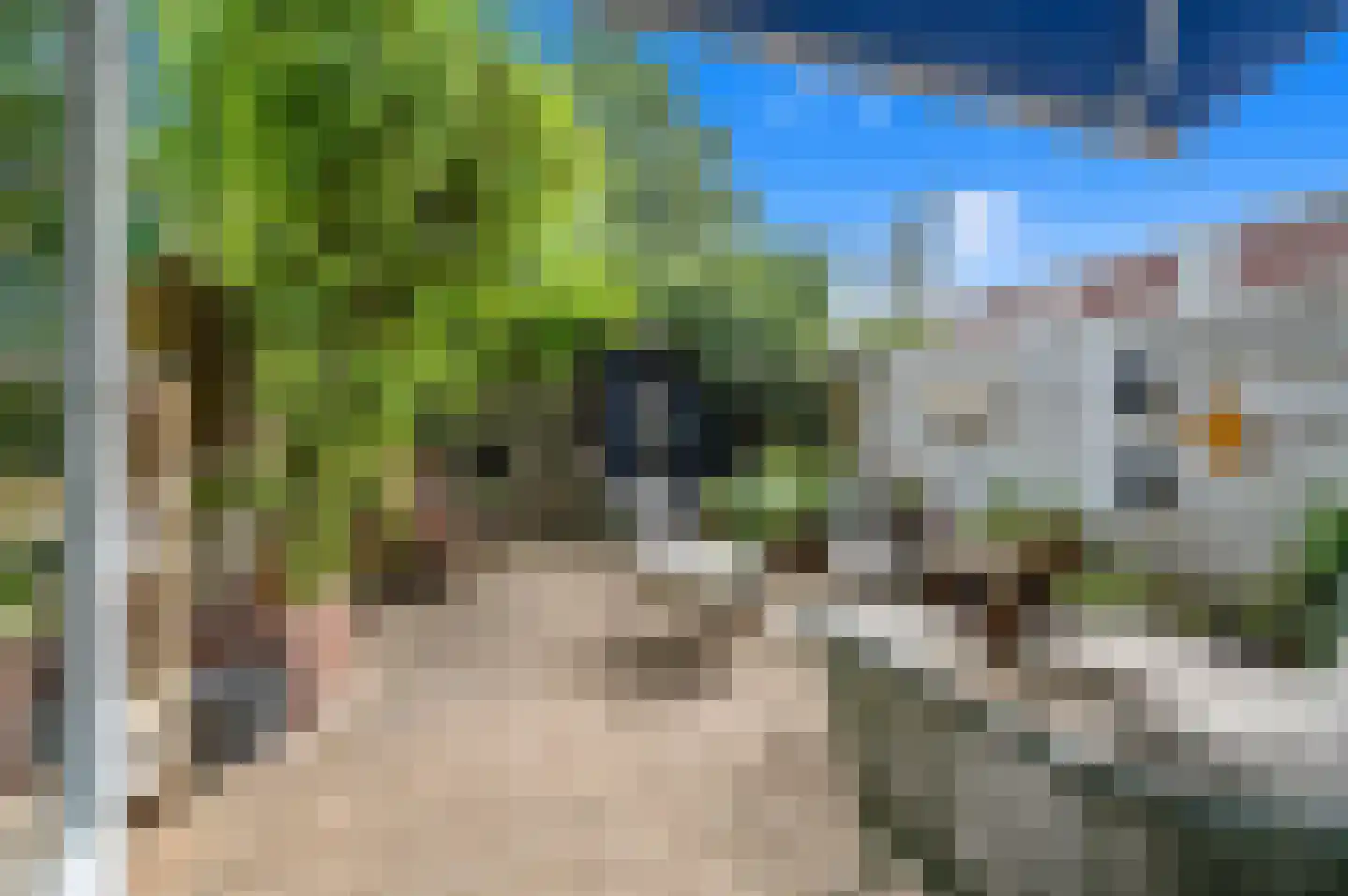 Pieter Bothstraat 68 Den Haag thumbnail 4