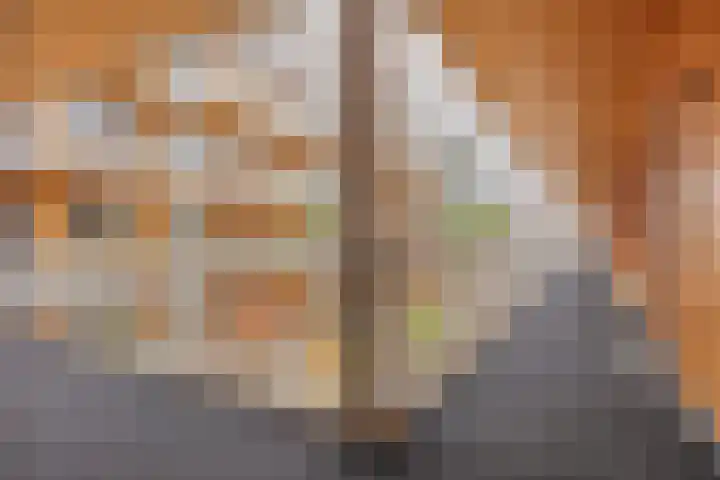 Pieter Breughellaan 29 Beek en Donk thumbnail 10