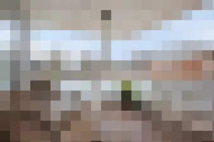 Pieter Breughellaan 29 Beek en Donk thumbnail 20