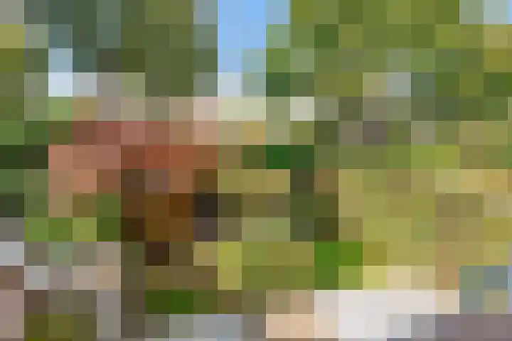 Pieter Breughellaan 9 Bilthoven thumbnail 23