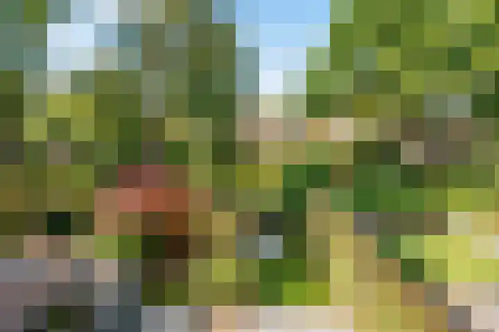 Pieter Breughellaan 9 Bilthoven thumbnail 38