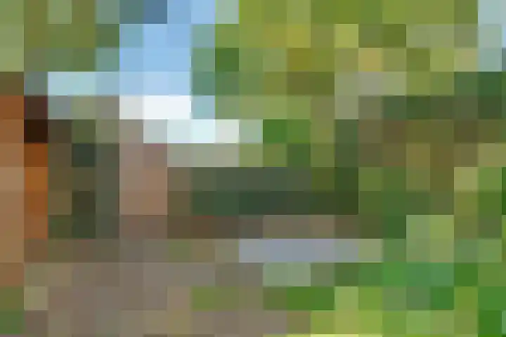 Pieter Breughellaan 9 Bilthoven thumbnail 43