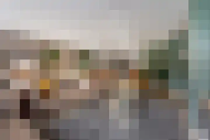 Pieter Breughelstraat 1 Rijnsburg thumbnail 17