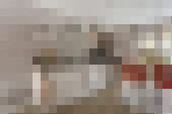 Pieter Breughelstraat 1 Rijnsburg thumbnail 31
