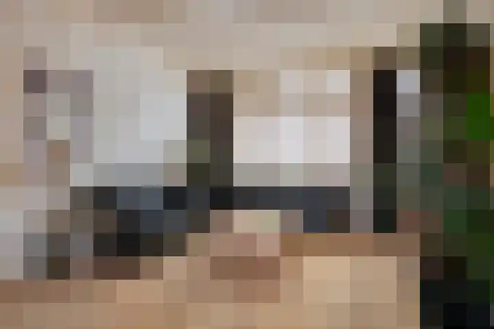 Pieter Breughelstraat 13 Eindhoven thumbnail 11