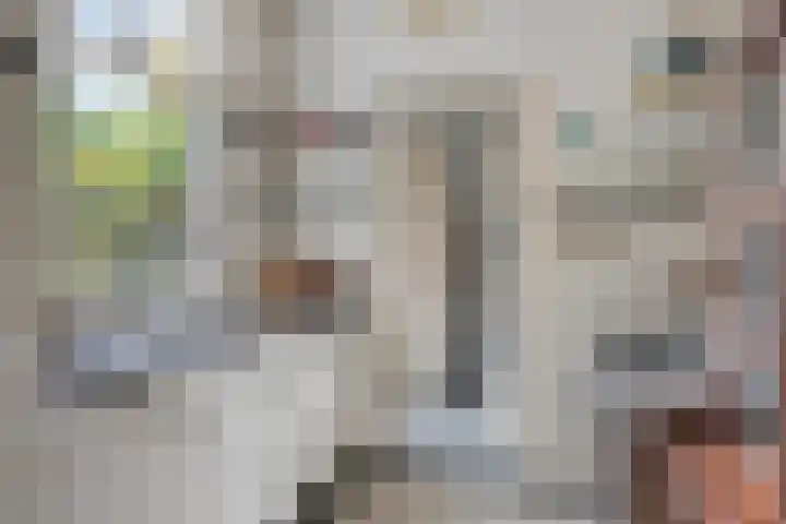 Pieter Breughelstraat 13 Eindhoven thumbnail 15