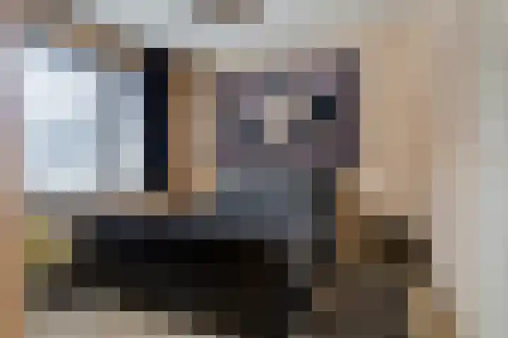 Pieter Breughelstraat 13 Eindhoven thumbnail 22
