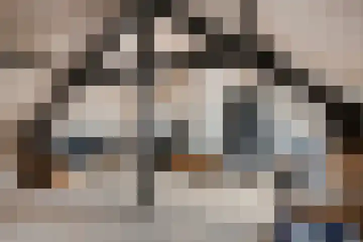 Pieter Breughelstraat 13 Eindhoven thumbnail 27