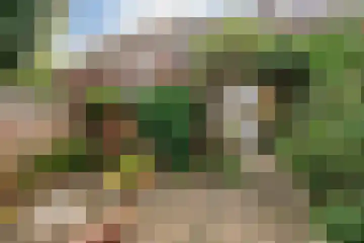 Pieter Breughelstraat 13 Eindhoven thumbnail 31
