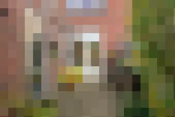 Pieter Breughelstraat 13 Eindhoven thumbnail 32