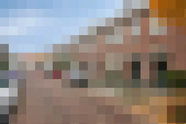 Pieter Breughelstraat 13 Eindhoven thumbnail 33