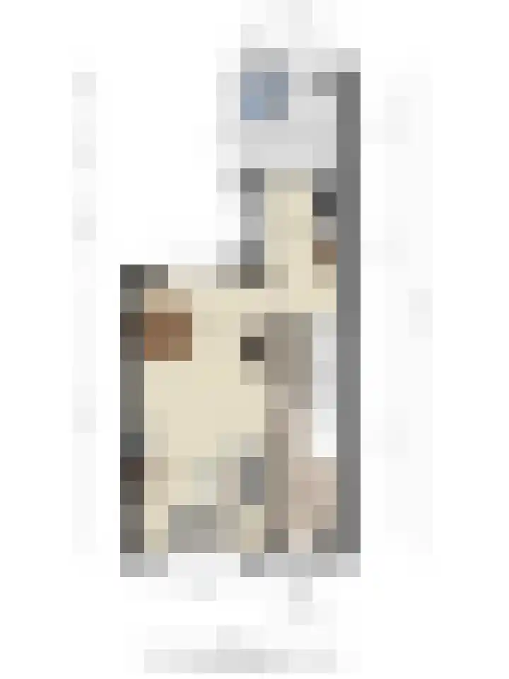 Pieter Breughelstraat 13 Eindhoven thumbnail 36