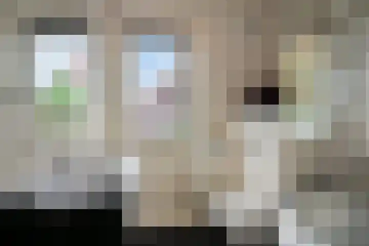 Pieter Breughelstraat 13 Eindhoven thumbnail 5