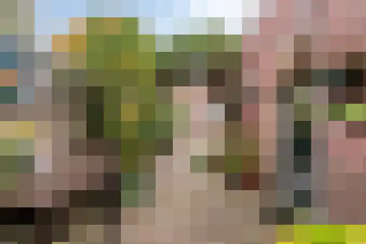 Pieter Breughelstraat 13 Eindhoven thumbnail 6