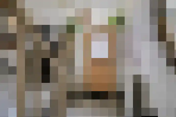 Pieter Breughelstraat 13 Eindhoven thumbnail 8
