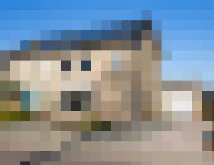 Pieter Breughelstraat 15 in Bergen L