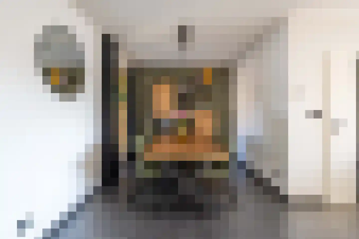 Pieter Breughelstraat 15 Bergen L thumbnail 14
