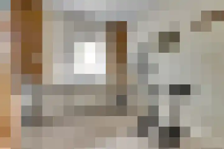 Pieter Breughelstraat 16 Bergen L thumbnail 20