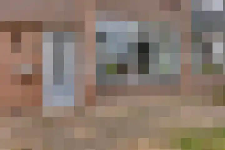 Pieter Breughelstraat 19 Coevorden thumbnail 6