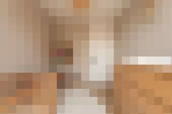 Pieter Breughelstraat 19 Rijnsburg thumbnail 15