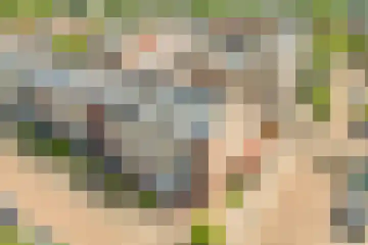 Pieter Breughelstraat 19 Rijnsburg thumbnail 38