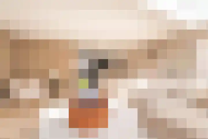 Pieter Breughelstraat 19 Rijnsburg thumbnail 5