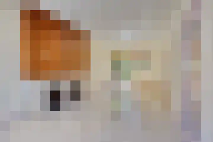 Pieter Breughelstraat 2 Eindhoven thumbnail 10