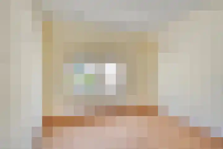 Pieter Breughelstraat 2 Eindhoven thumbnail 24