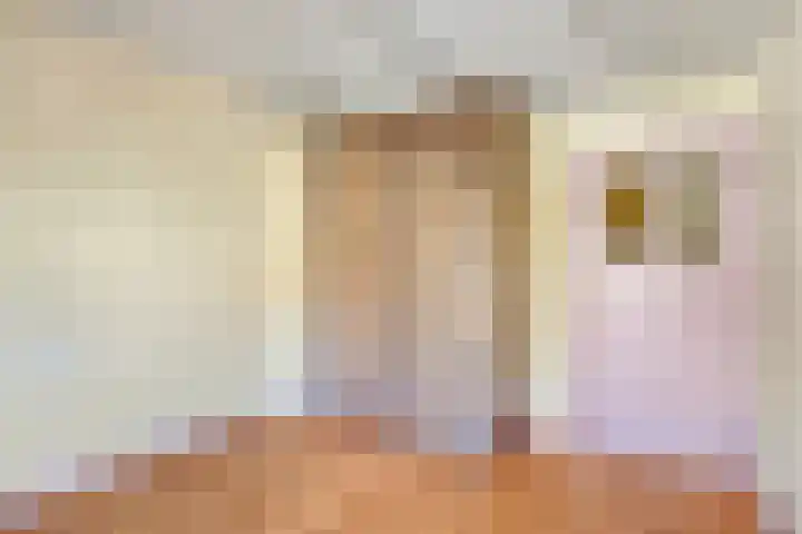 Pieter Breughelstraat 2 Eindhoven thumbnail 25