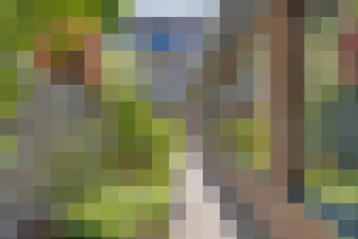 Pieter Breughelstraat 2 Eindhoven thumbnail 34
